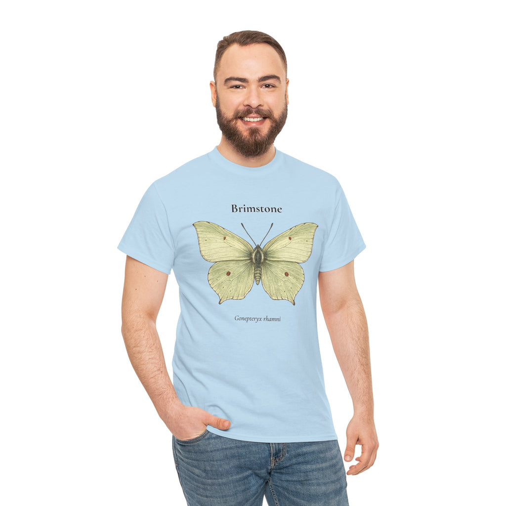 Brimstone Butterfly Graphic T-Shirt | WildOrbit
