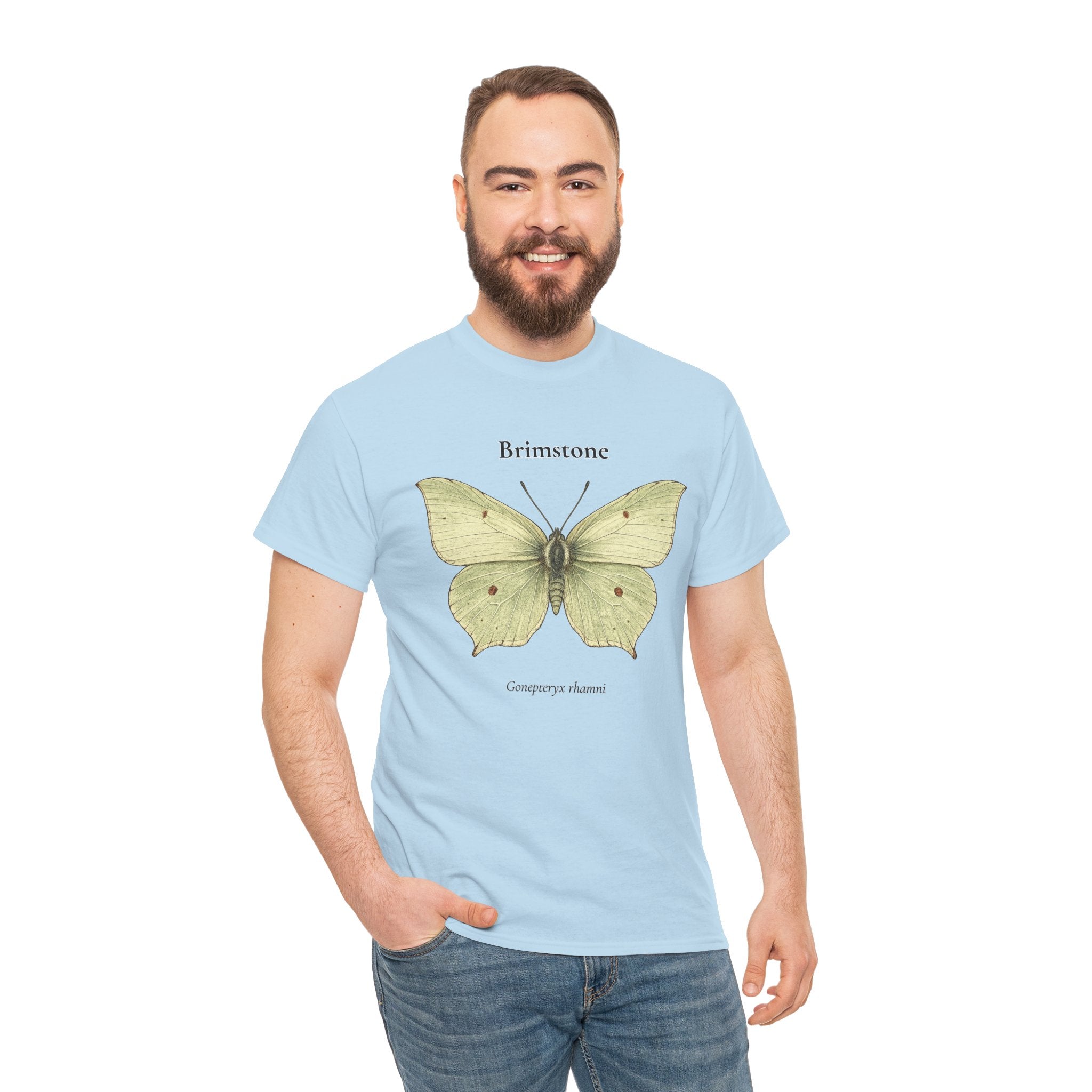 Brimstone Butterfly Graphic T-Shirt | WildOrbit