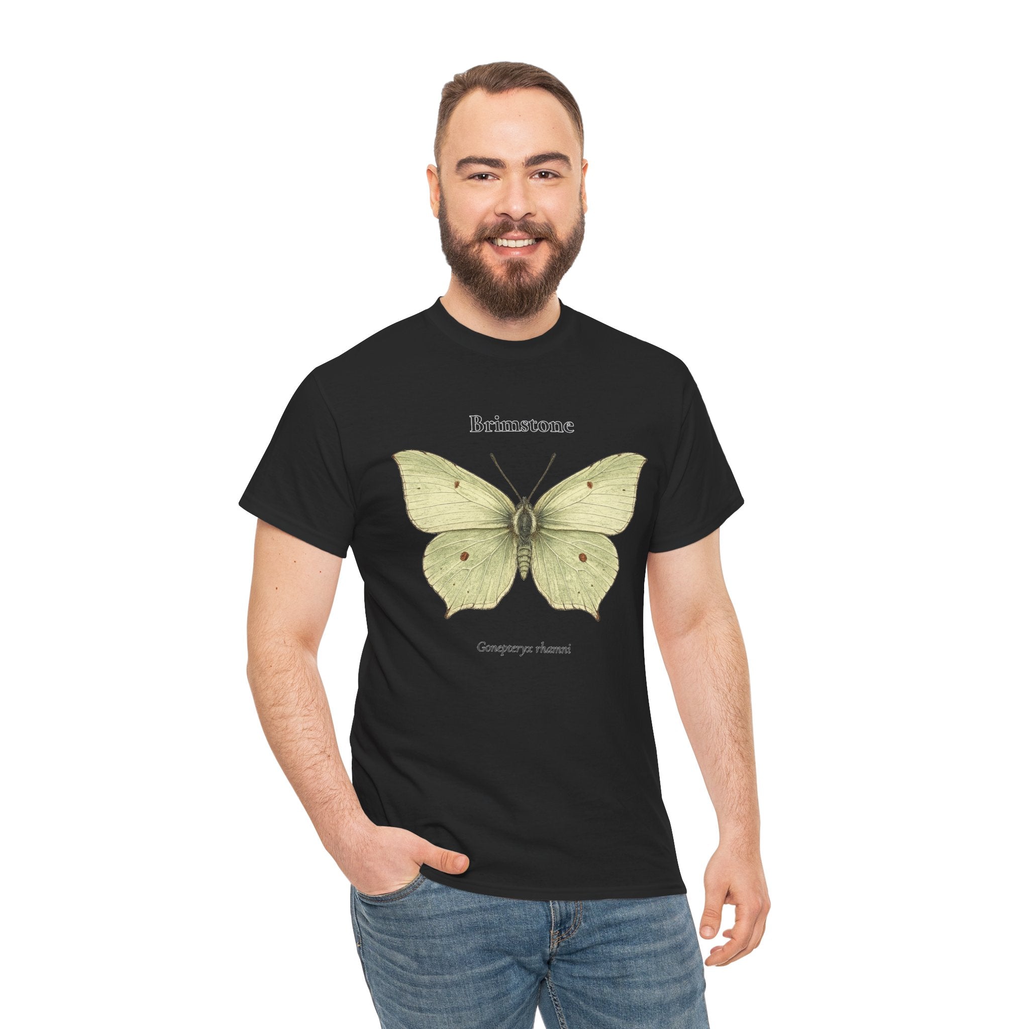 Brimstone Butterfly Graphic T-Shirt | WildOrbit