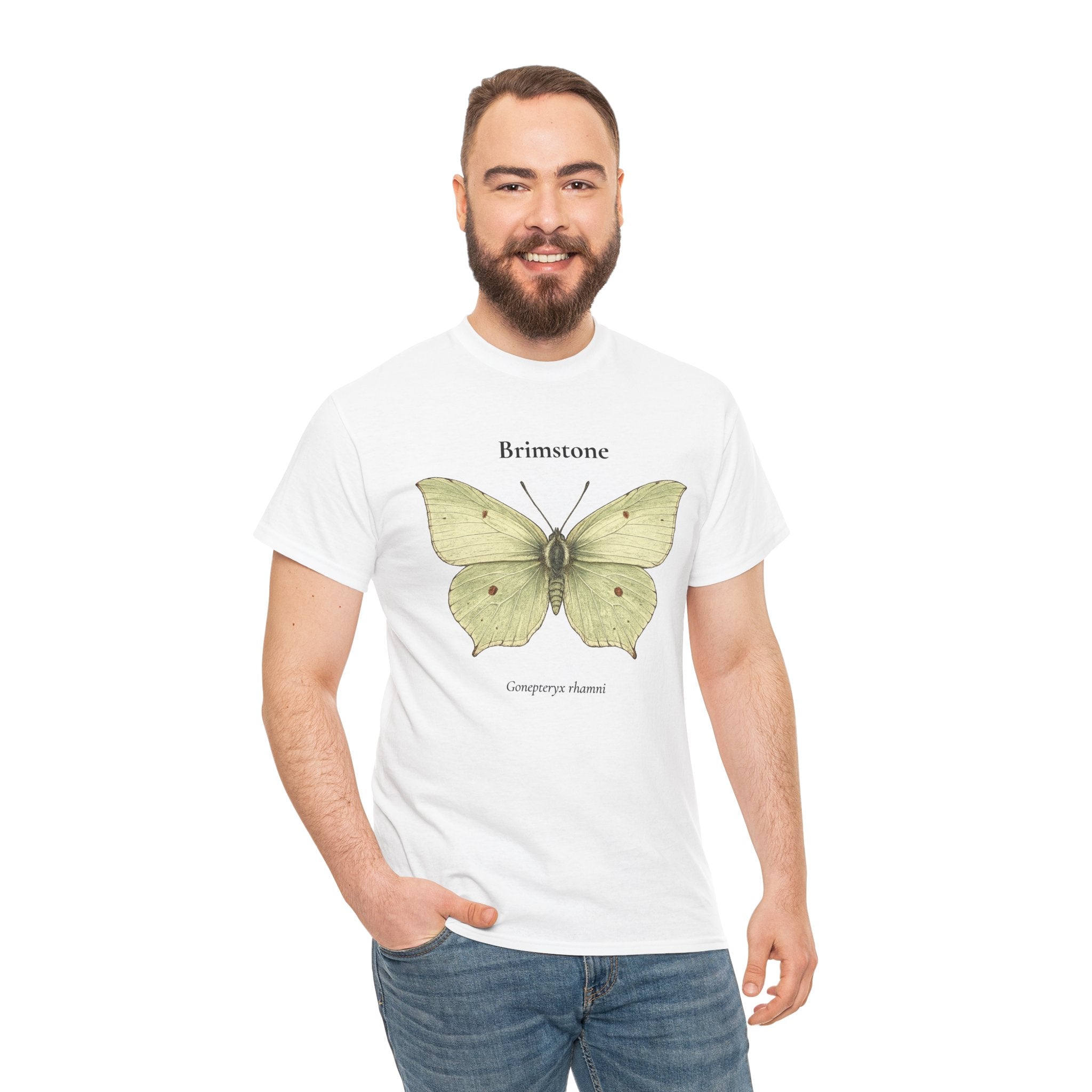 Brimstone Butterfly Graphic T-Shirt | WildOrbit